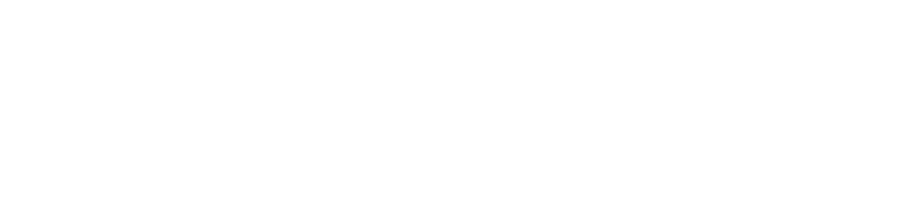 The Motorist